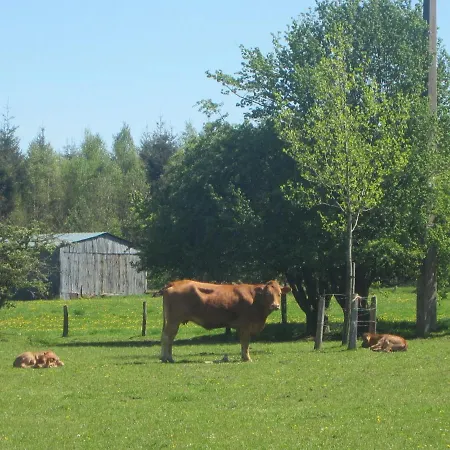 Delightful With Meadow View Holiday home *